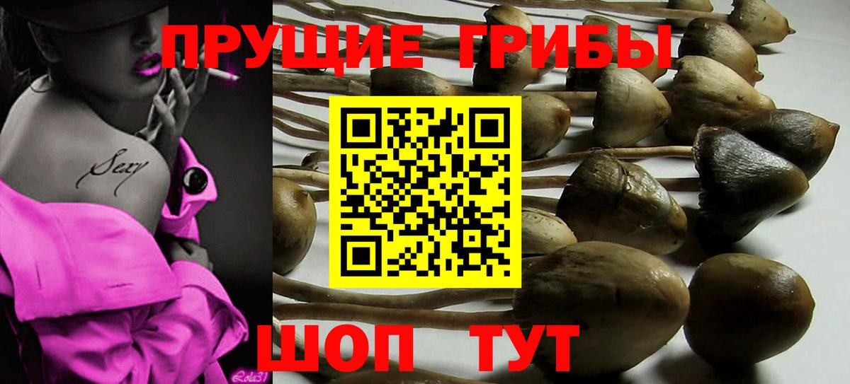 Галлюциногенные грибы Magic Shrooms Новодвинск
