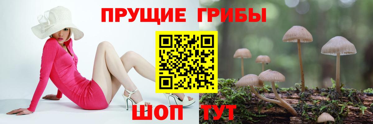 Псилоцибиновые грибы Cubensis  Вход с VPN  Новодвинск 
